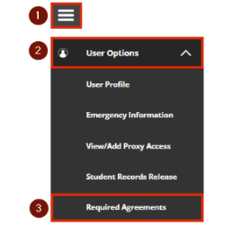 Registration Agreement 